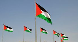 A photo of Palestinian flags on poles